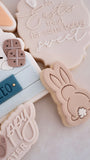 BUNNY IN CRATE  - BOY GENERIC