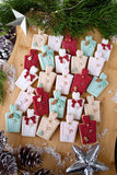 Present ADVENT kit