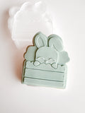 BUNNY IN CRATE  - BOY GENERIC