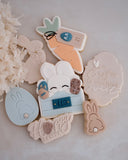 BUNNY IN CRATE  - BOY GENERIC