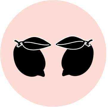 LEMON DUO POP MOULD