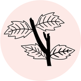 POP! MOULD - STEM WITH LEAVES