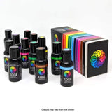 VIVID - GEL COLOUR - 12 PACK - 21g x 12