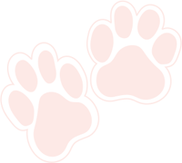 Pop! Mould- BEAR FEET