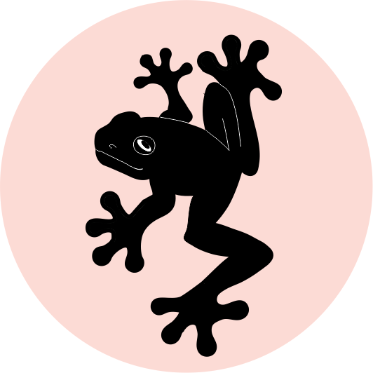 POP! MOULD - FROG