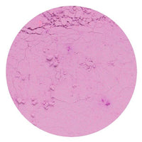 Rolkem - Rainbow Spectrum - DUSKY ROSE Dust - 10ml