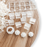 SCALLOP NUMBER TOKENS