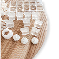 SCALLOP NUMBER TOKENS